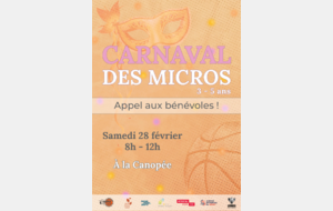 Carnaval des Micros à la Canopée